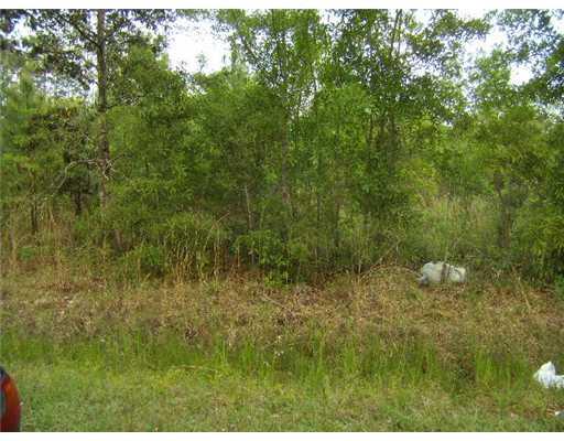 0 Archie Singletary Road Pearl River, LA 70452 - Photo 8 of 12 Gallery Image 8
