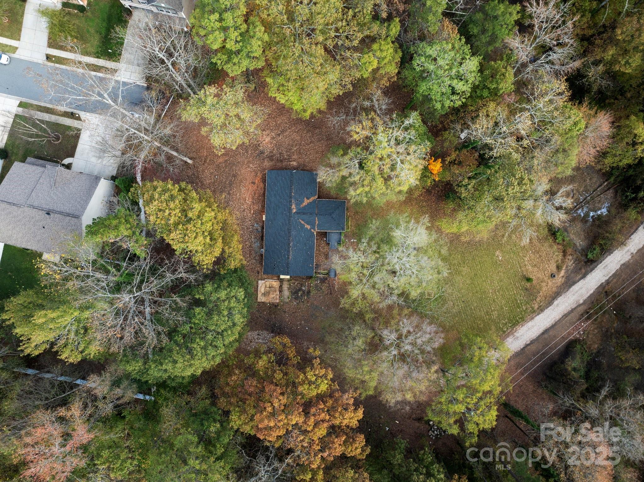 4642 McClure Road Charlotte, NC 28216 - Photo 8 of 48 a plant that is in a garden