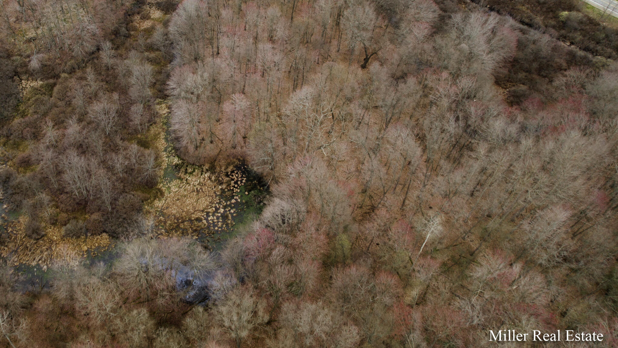 Holden Road Stills-005
