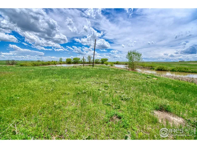 a view of a big yard