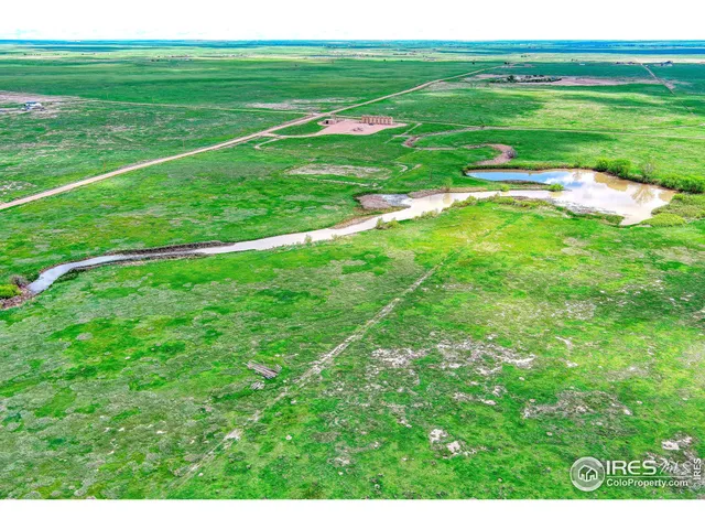 a view of a grassy field with an trees