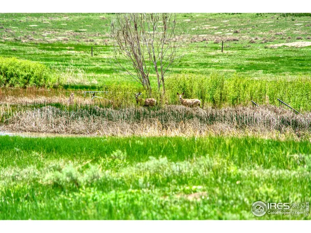 a view of a garden with a lake view