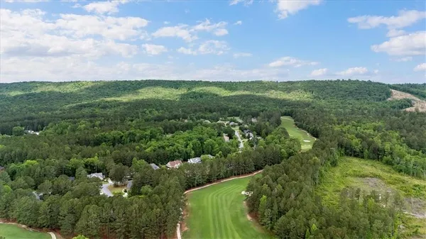 a view of a city with lush green forest
