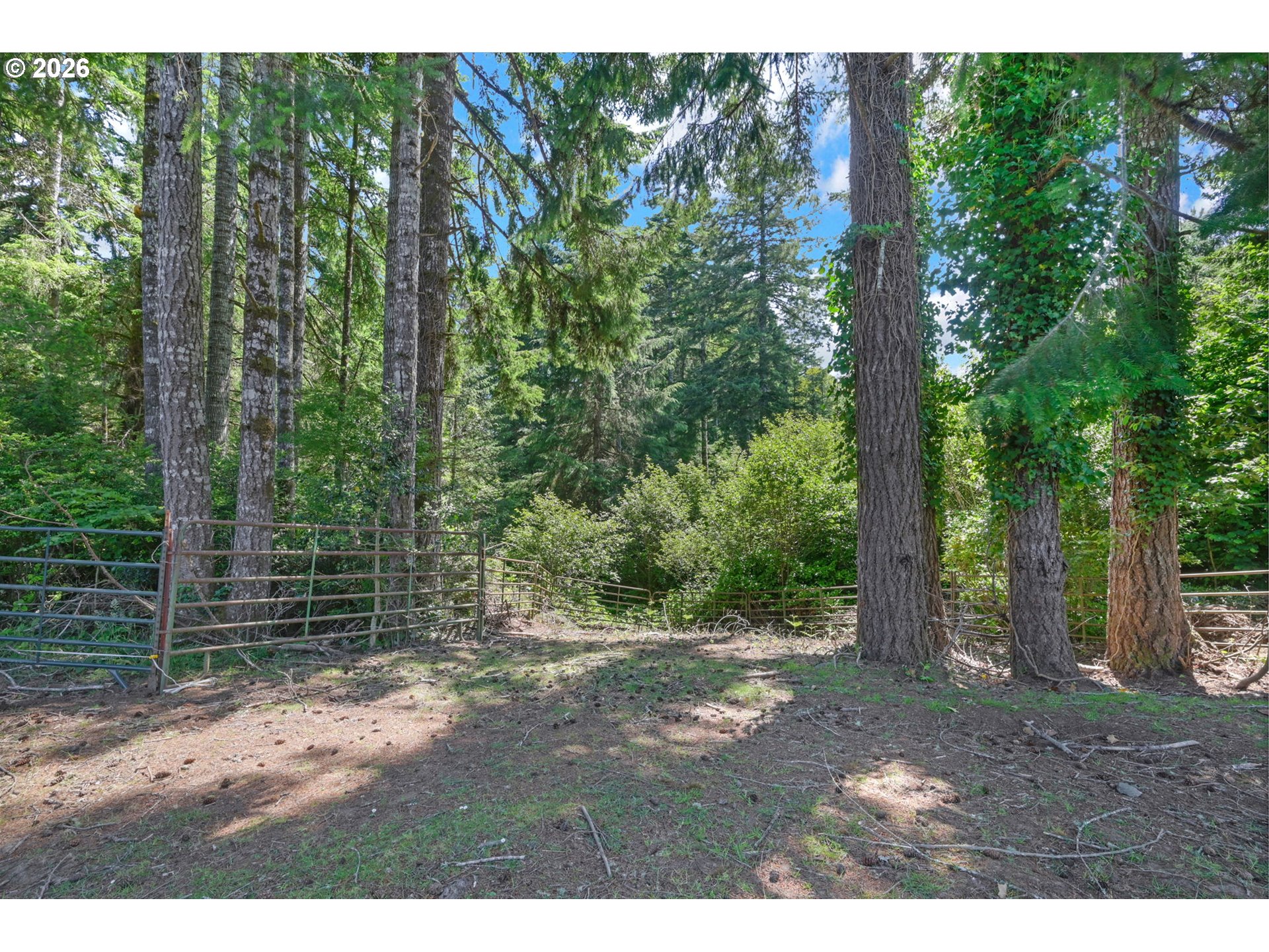 5596 Canary Road Florence, OR 97439 - Photo 27 of 38