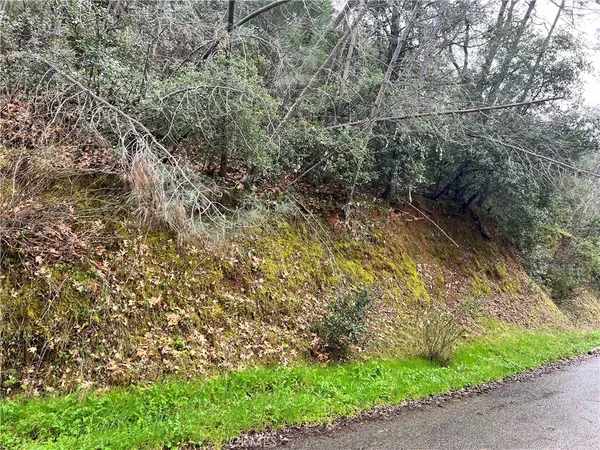 a view of a yard with large trees