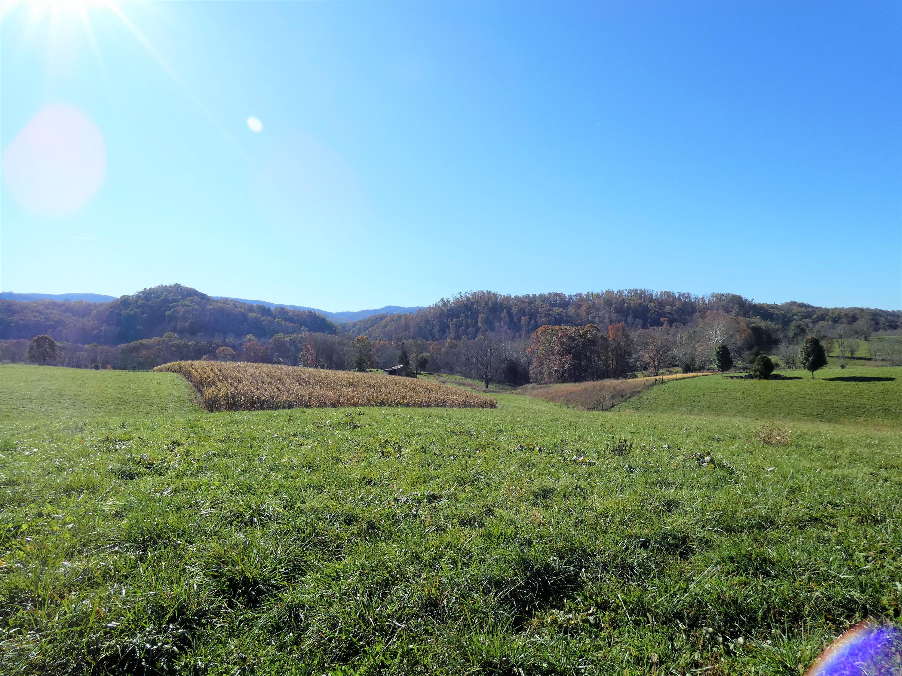 37290 Loves Mill Road Chilhowie, VA 24319 - Photo 20 of 21 P1020325 (2)
