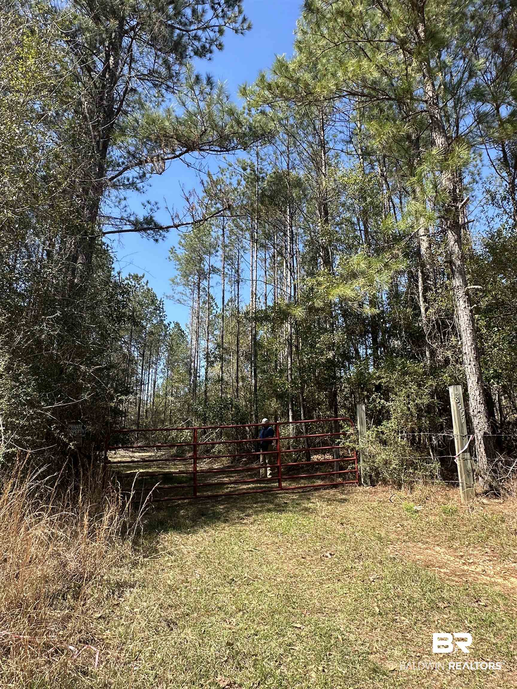 8557 County Road 34 Millry, AL 36558 - Photo 16 of 36 View of yard