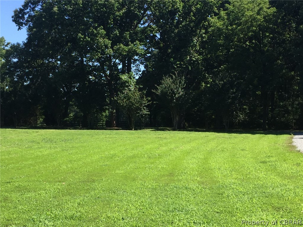 Front yard looking to the driveway