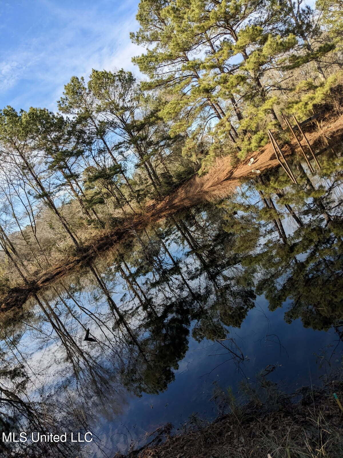243 Sauls Road Jayess, MS 39641 - Photo 23 of 24 image000000