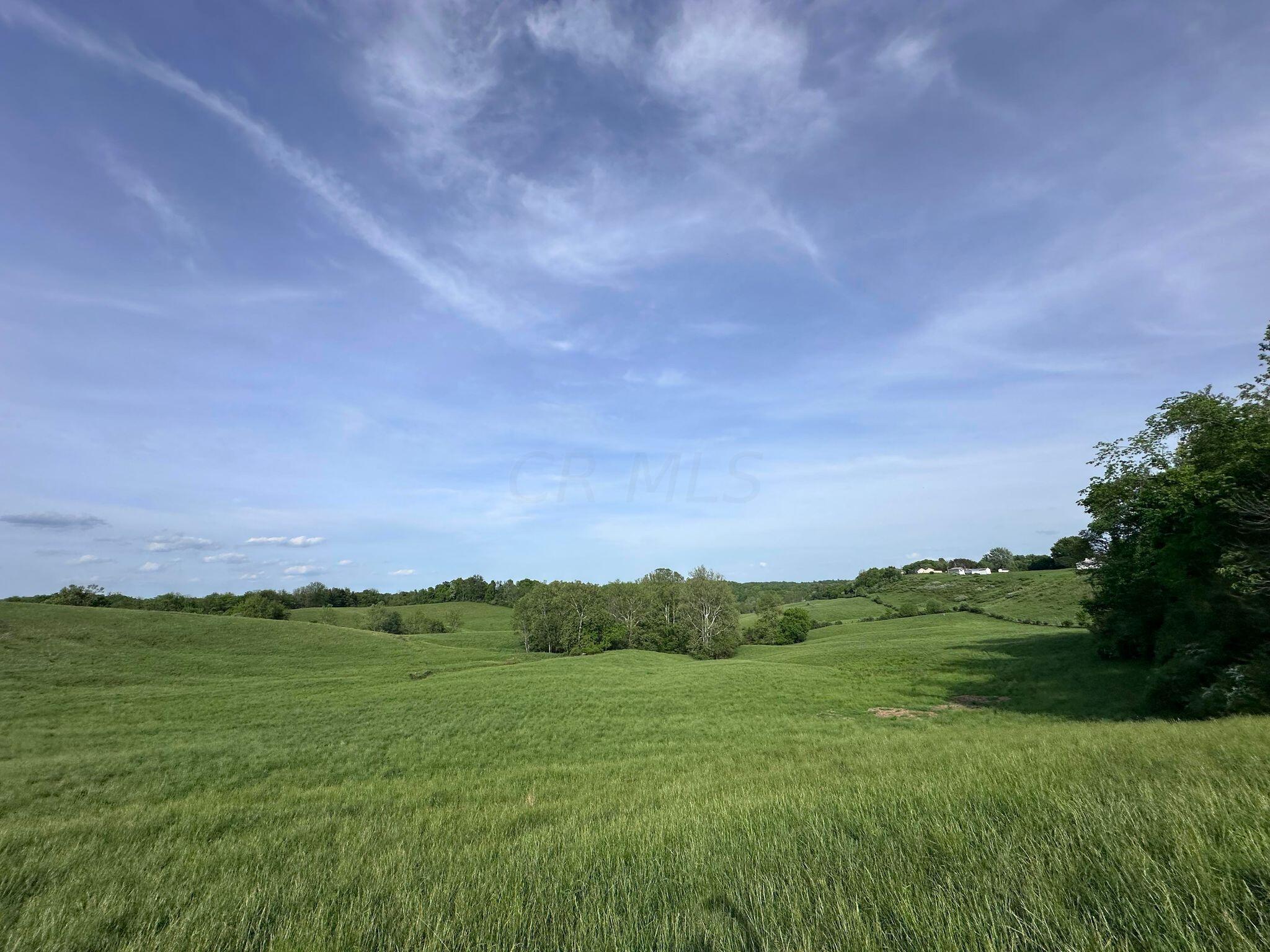 5159 Barr Road McConnelsville, OH 43756 - Photo 22 of 80 view of the land
