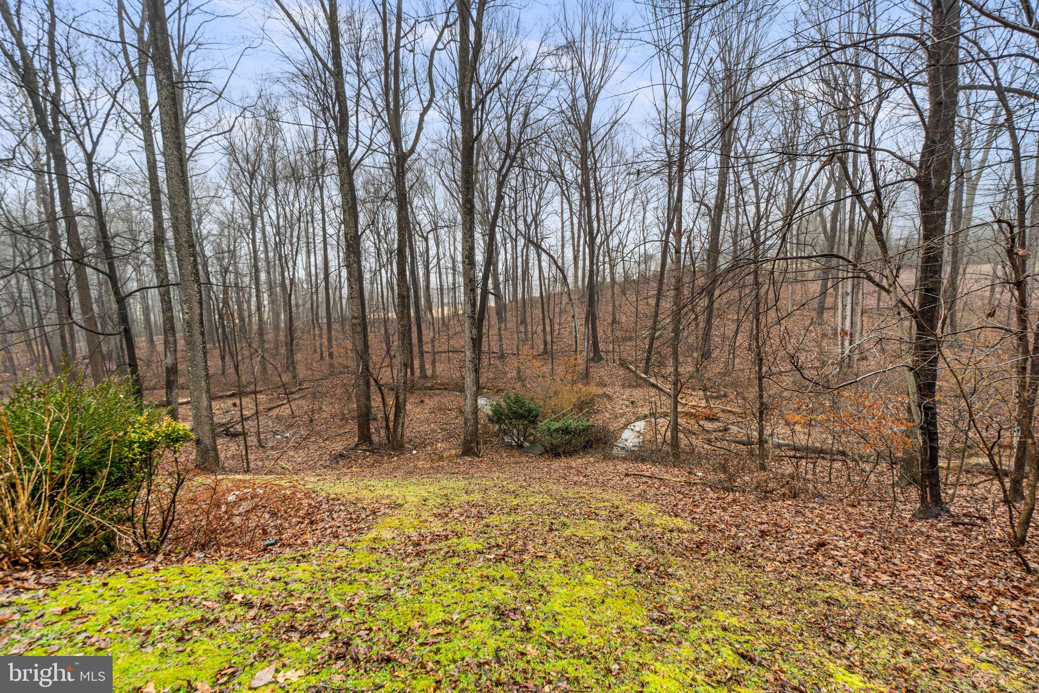 4525 Roop Road Mount Airy, MD 21771 - Photo 47 of 49 Backyard