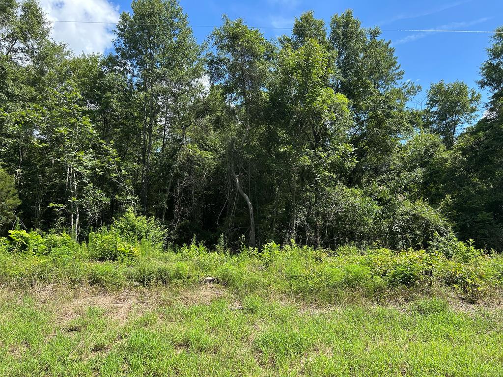 Lot 5-3 -ac Cty Road Newville, AL 36353 - Photo 12 of 13