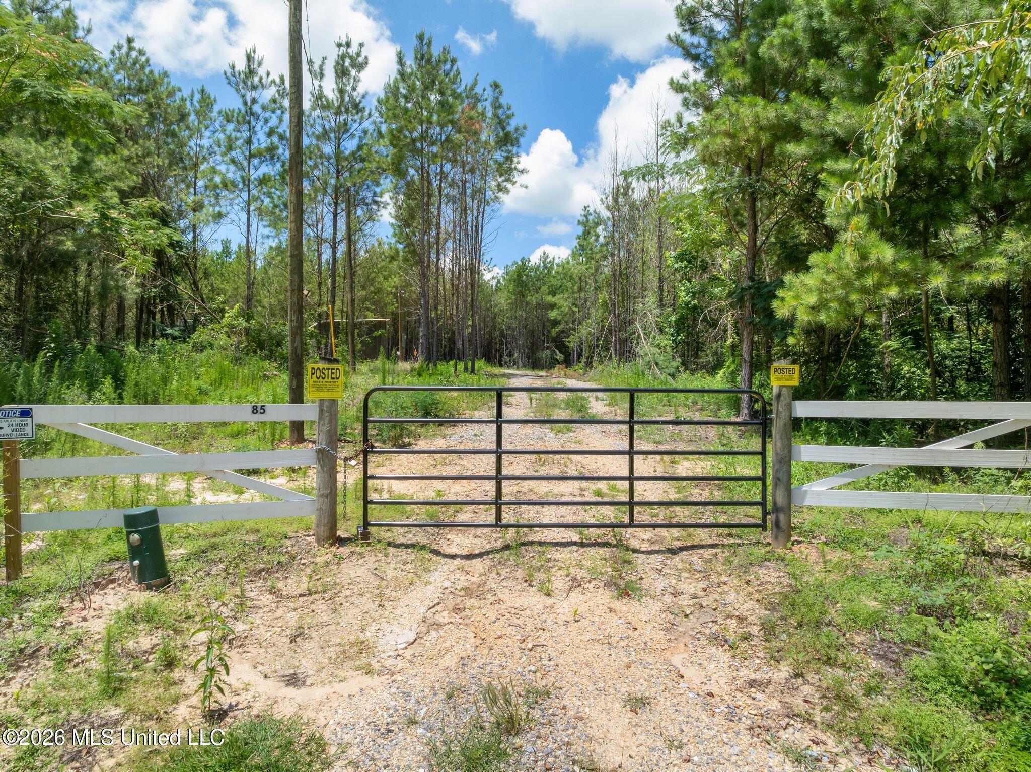 31-acres Ridgeland Road Bassfield, MS 39421 - Photo 4 of 27 85_Ridgeland_Rd-4