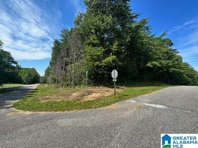 520 18th Street, Unit 71 Calera, AL 35040 - Photo 4 of 6