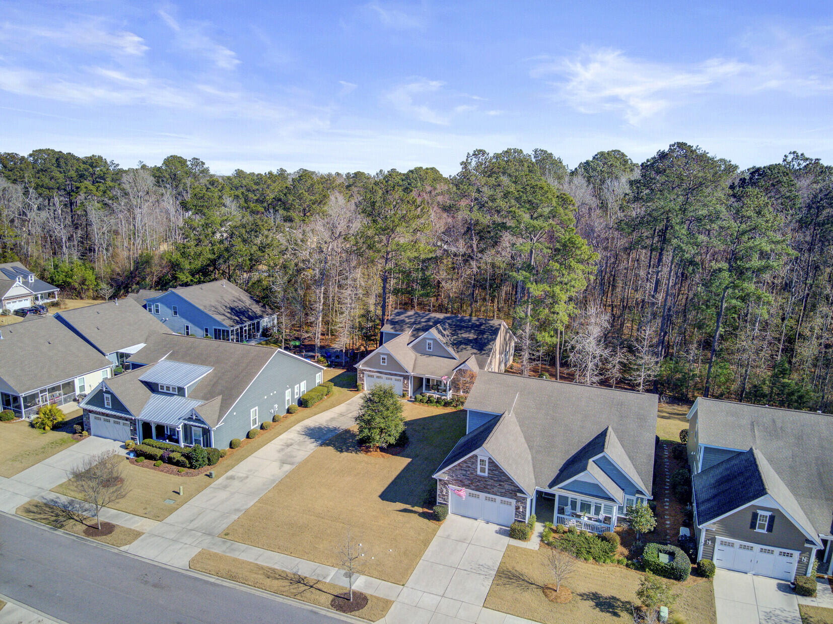 6016 Wild Azalea Road Summerville, SC 29483 - Photo 85 of 85 66_mls