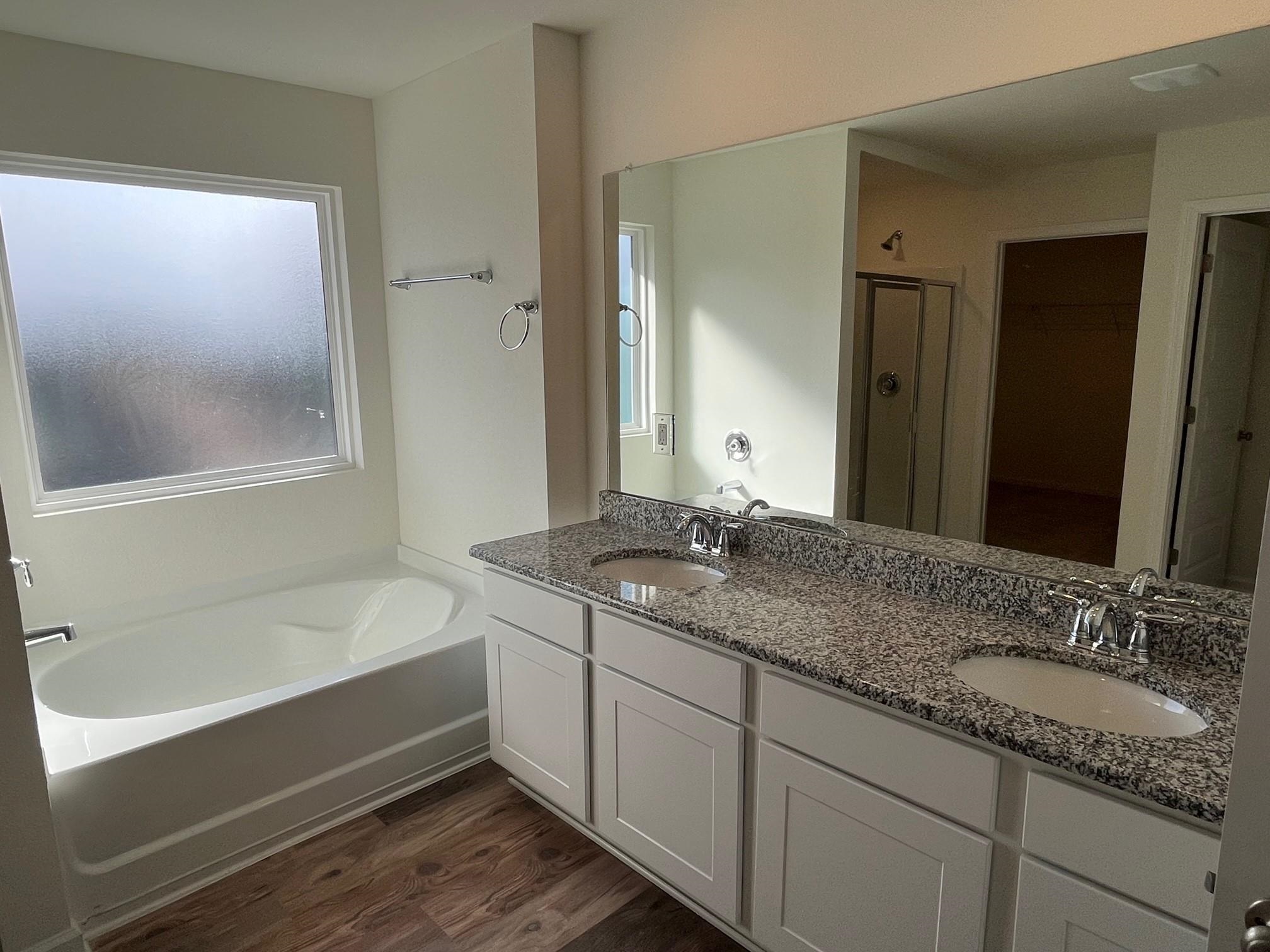 24043 Veranda Circle Elberta, AL 36530 - Photo 13 of 20 Master Bath