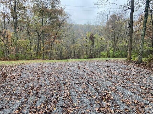 755 Galbraith Road Brooksville, KY 41004 - Photo 2 of 4