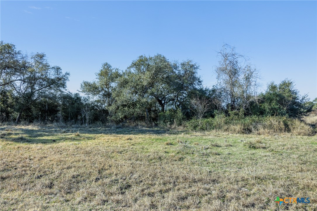 0 Sydnie Ranch Road Inez, TX 77968 - Photo 6 of 18