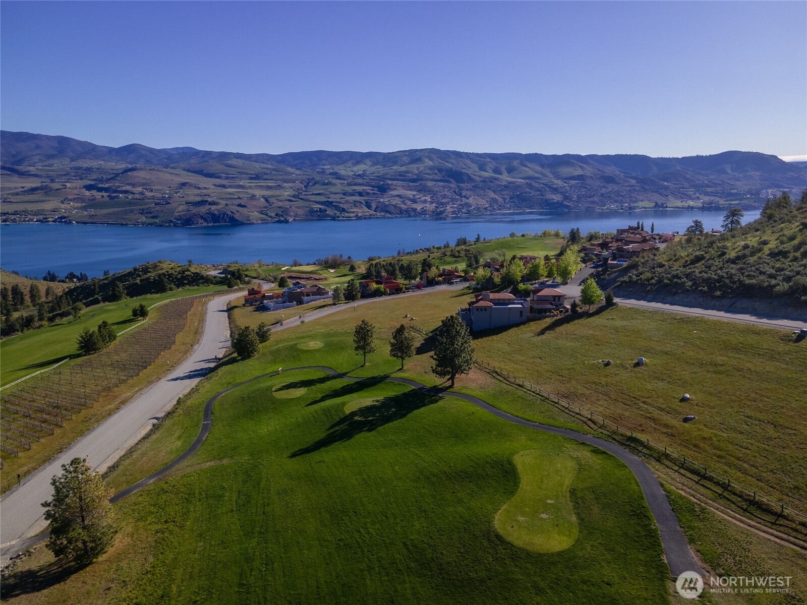 322 Paintbrush Road Chelan, WA 98816 - Photo 5 of 26 a view of a backyard with a mountain
