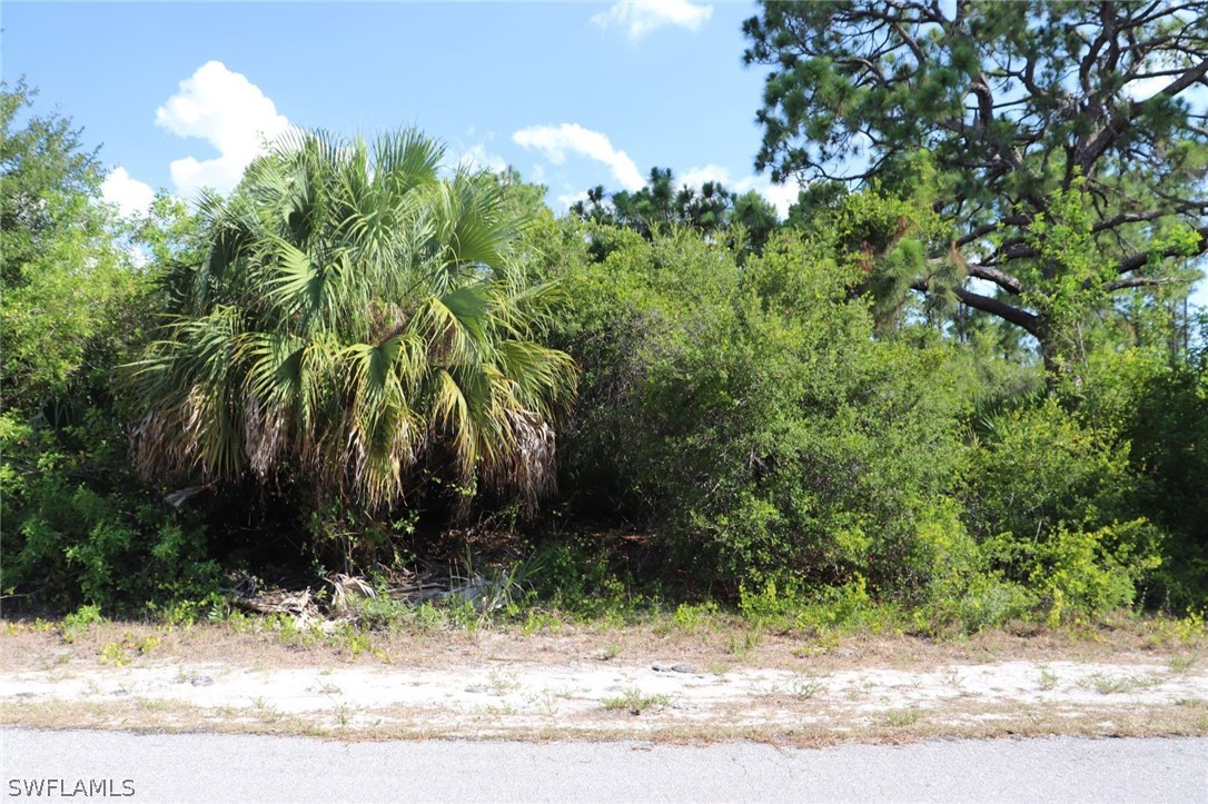 4244 East 24th Street Alva, FL 33920 - Photo 1 of 13 a plant view