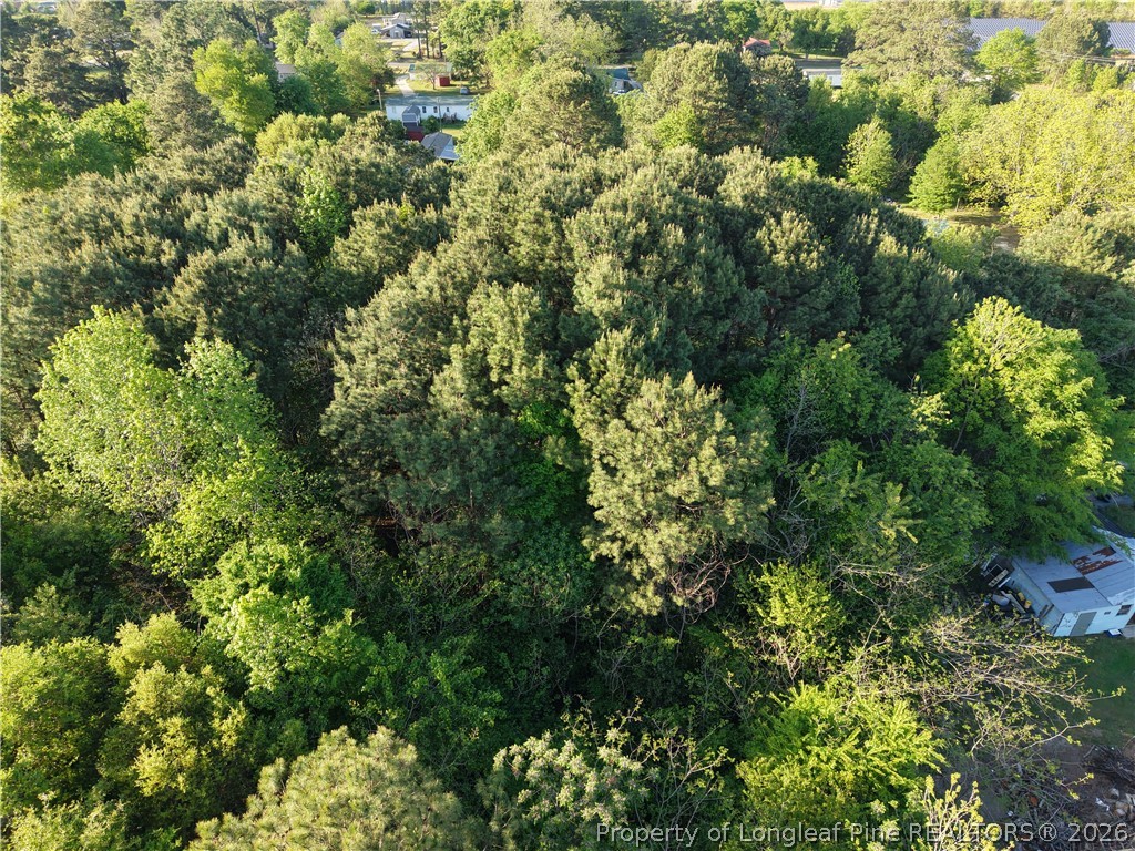 Amaziahs Farm Road Maxton, NC 28364 - Photo 4 of 7
