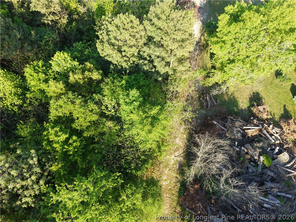 Amaziahs Farm Road Maxton, NC 28364 - Photo 7 of 7