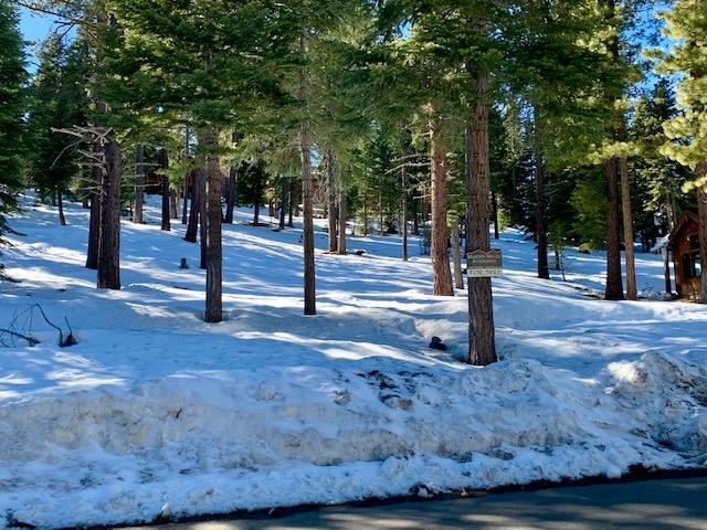 1762 Grouse Ridge Road Truckee, CA 96161 - Photo 2 of 4