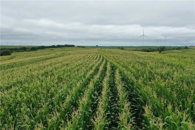 $1,437,800 | Y Ave Avenue, Tarkio, MO 64491