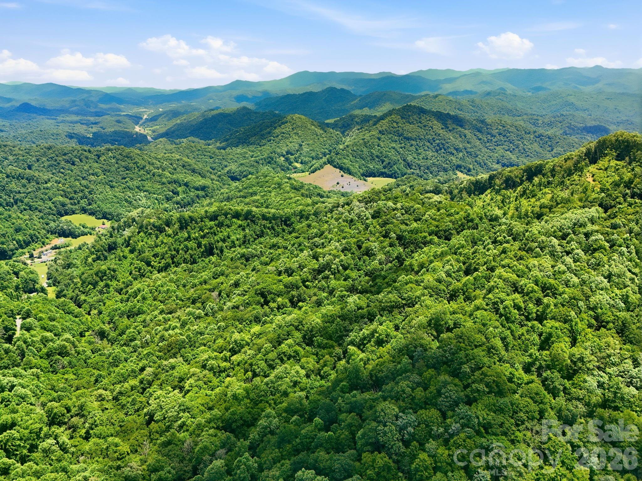 Tbd Windy Gap Road, Unit TRACT B Mars Hill, NC 28754 - Photo 4 of 13