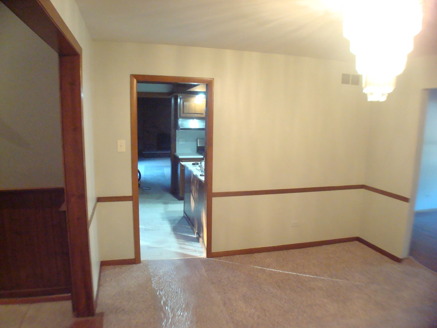 18343 May Street Homewood, IL 60430 - Photo 17 of 47