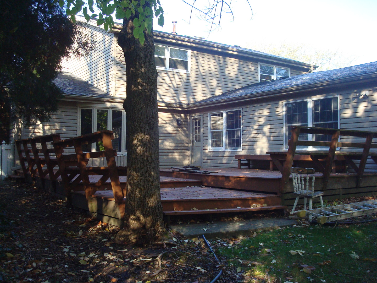 18343 May Street Homewood, IL 60430 - Photo 7 of 47