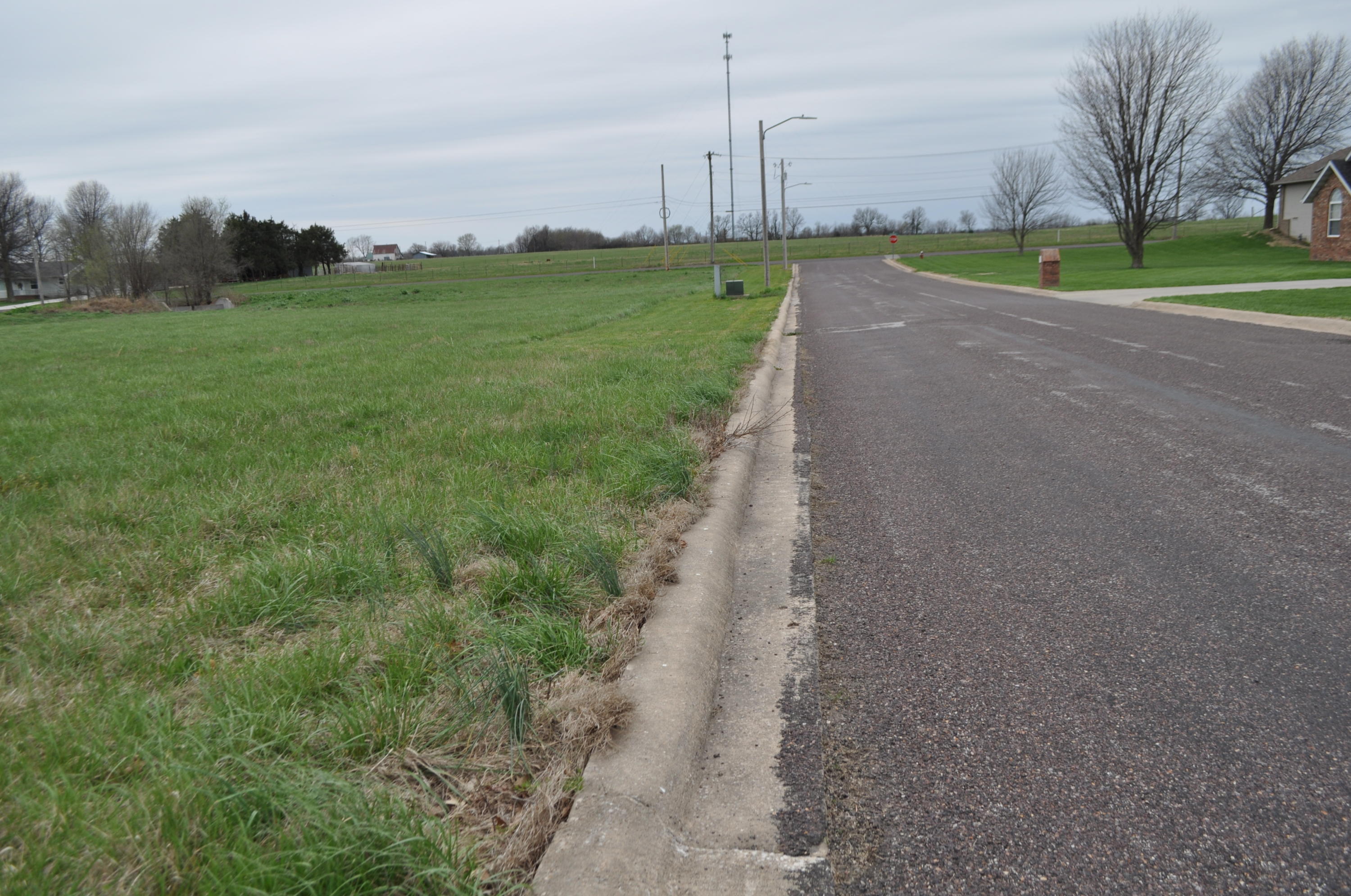 Lot 6 Brandermill Road Monett, MO 65708 - Photo 1 of 1 DSC_1751