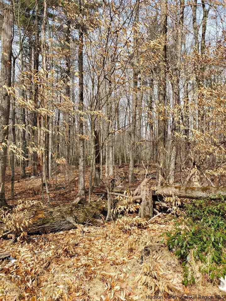 Tbd Tbd Spook Hole Road Ellenville, NY 12428 - Photo 3 of 7 Photo 3