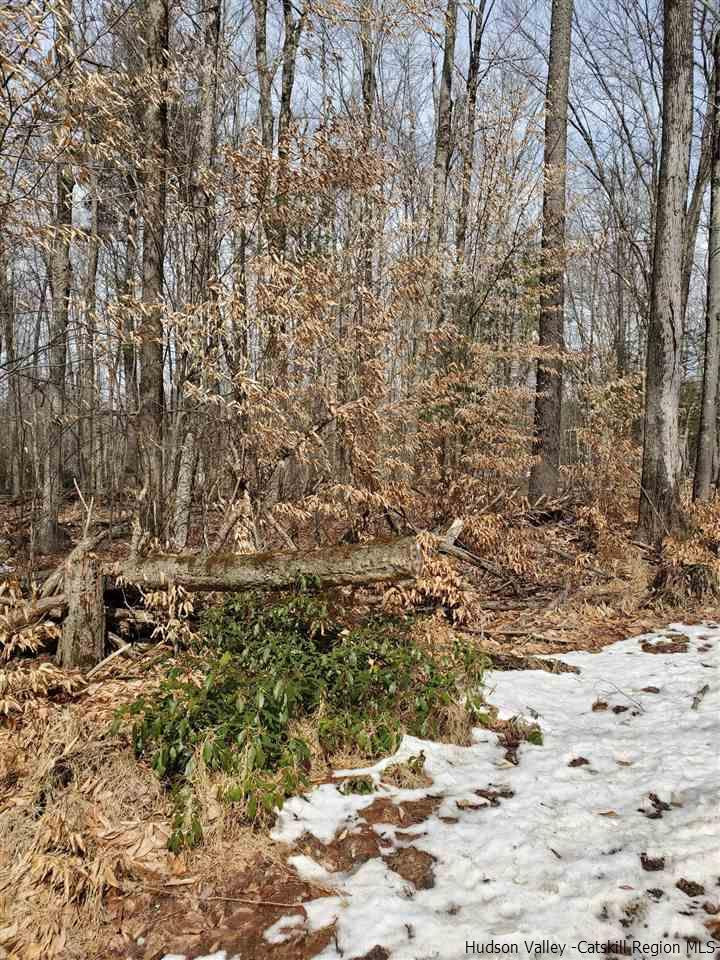 Tbd Tbd Spook Hole Road Ellenville, NY 12428 - Photo 4 of 7 Photo 4