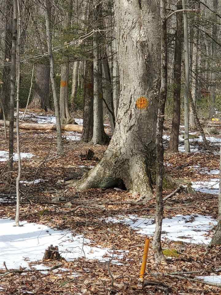 Tbd Tbd Spook Hole Road Ellenville, NY 12428 - Photo 5 of 7 Photo 5