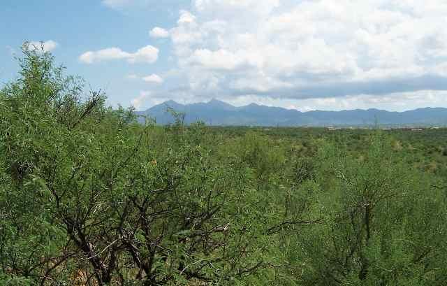 2035 Bowers Court Rio Rico, AZ 85648 - Photo 6 of 8
