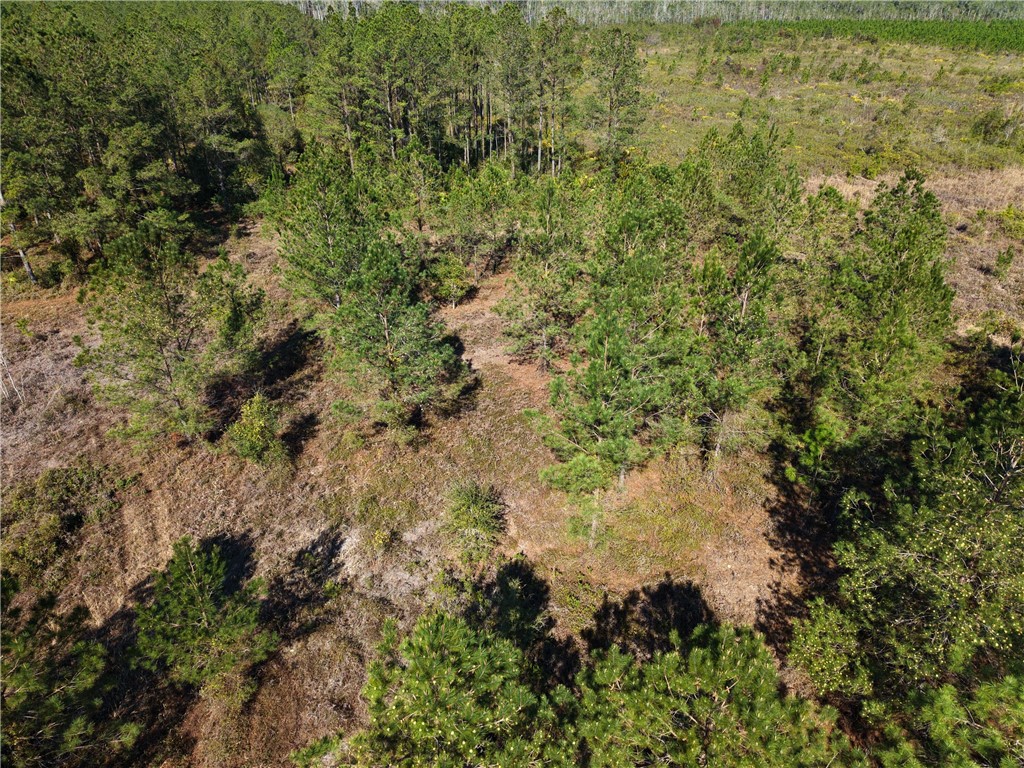 0 Old Post Road White Oak, GA 31568 - Photo 11 of 17