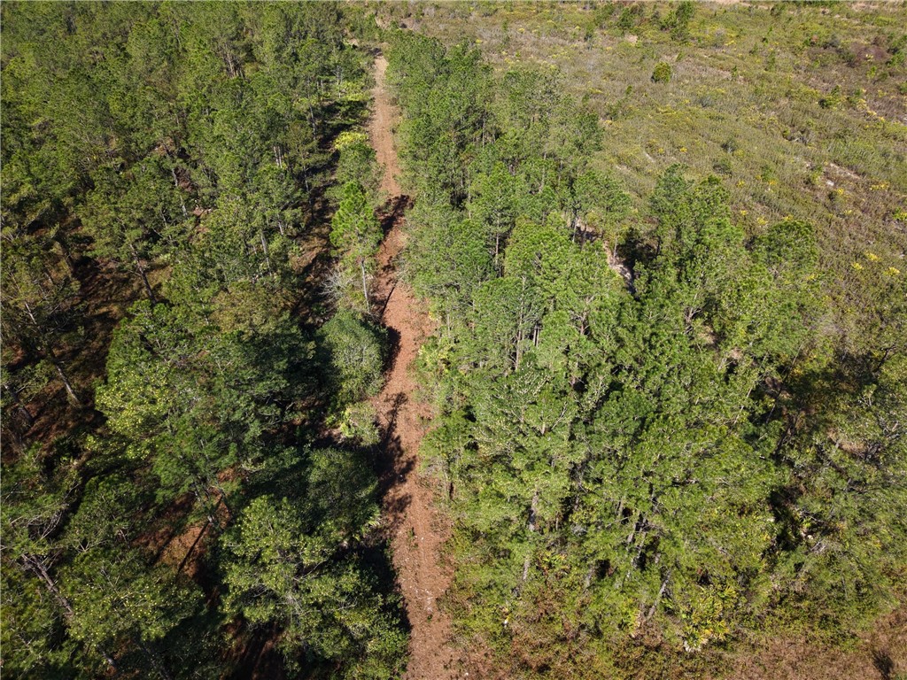 0 Old Post Road White Oak, GA 31568 - Photo 12 of 17