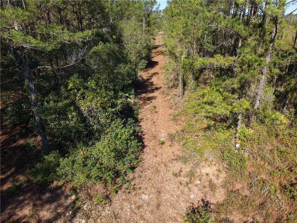 0 Old Post Road White Oak, GA 31568 - Photo 14 of 17