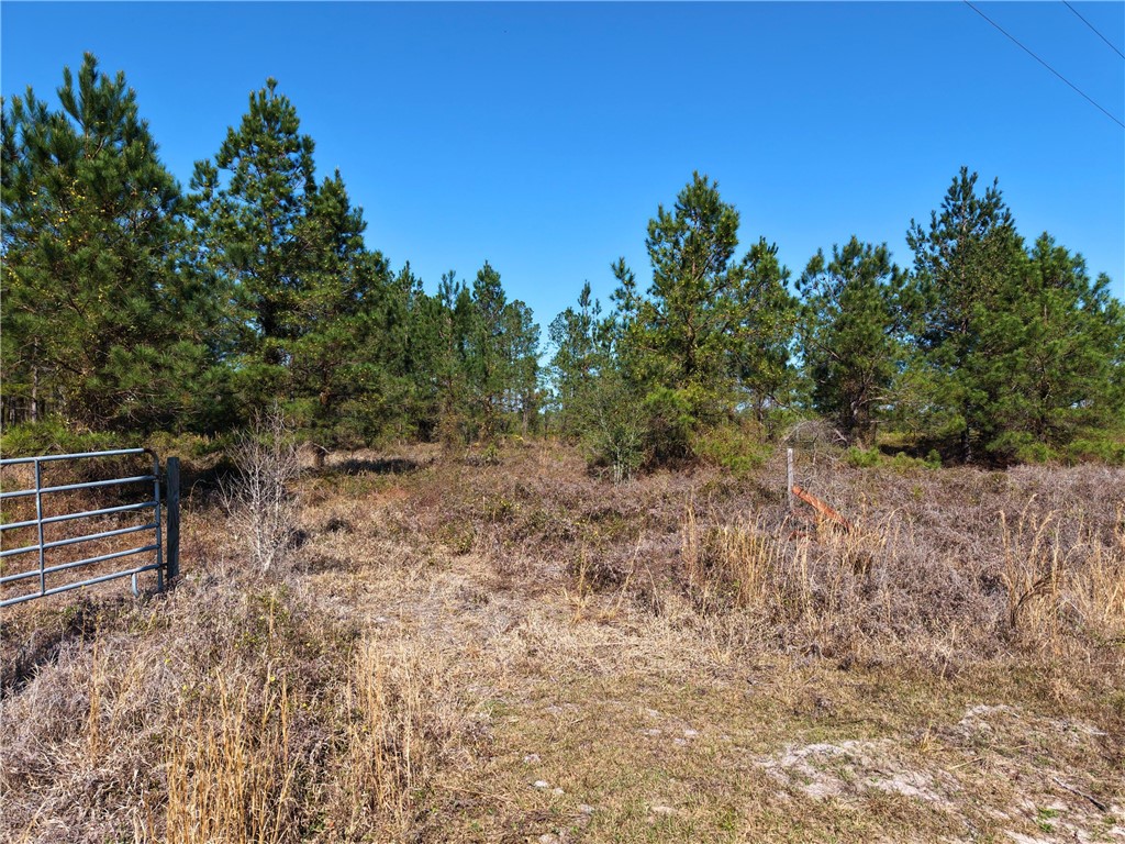 0 Old Post Road White Oak, GA 31568 - Photo 17 of 17