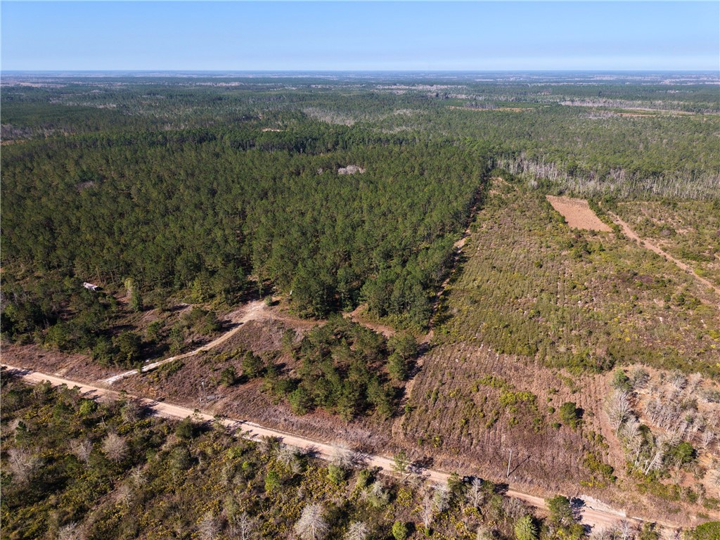 0 Old Post Road White Oak, GA 31568 - Photo 2 of 17