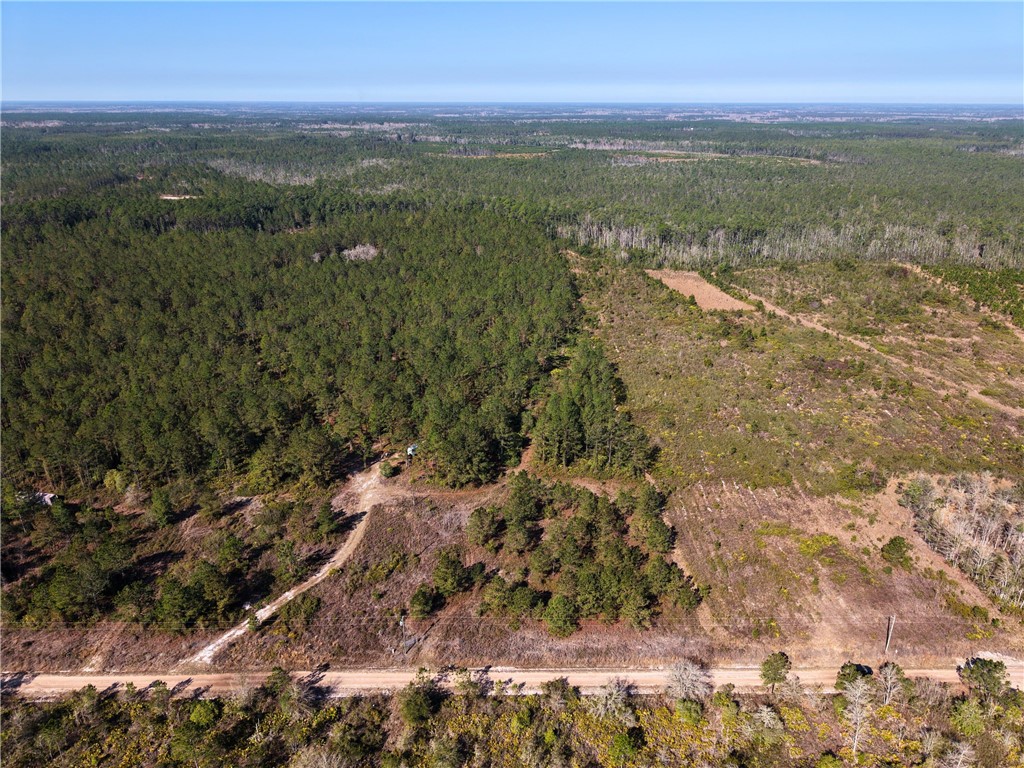 0 Old Post Road White Oak, GA 31568 - Photo 3 of 17