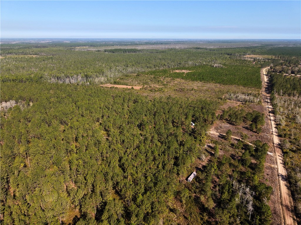 0 Old Post Road White Oak, GA 31568 - Photo 4 of 17