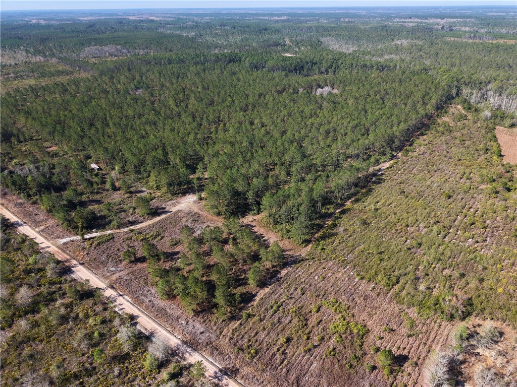 0 Old Post Road White Oak, GA 31568 - Photo 5 of 17