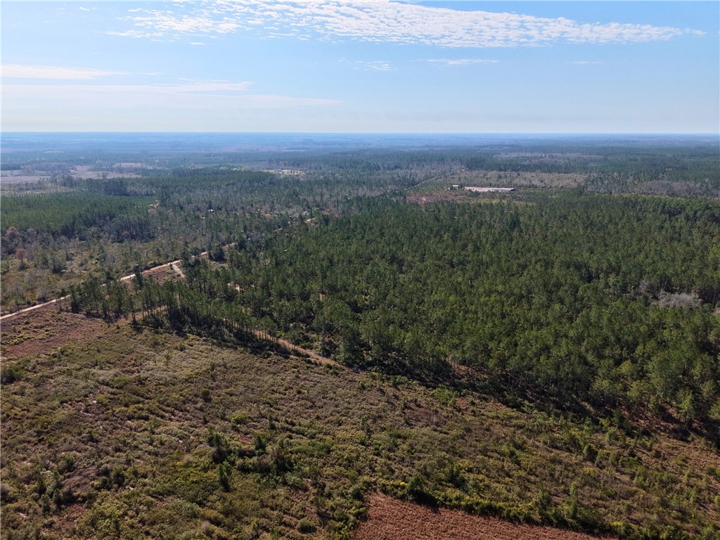 0 Old Post Road White Oak, GA 31568 - Photo 9 of 17