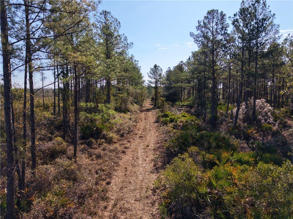 0 Old Post Road White Oak, GA 31568 - Photo 10 of 17