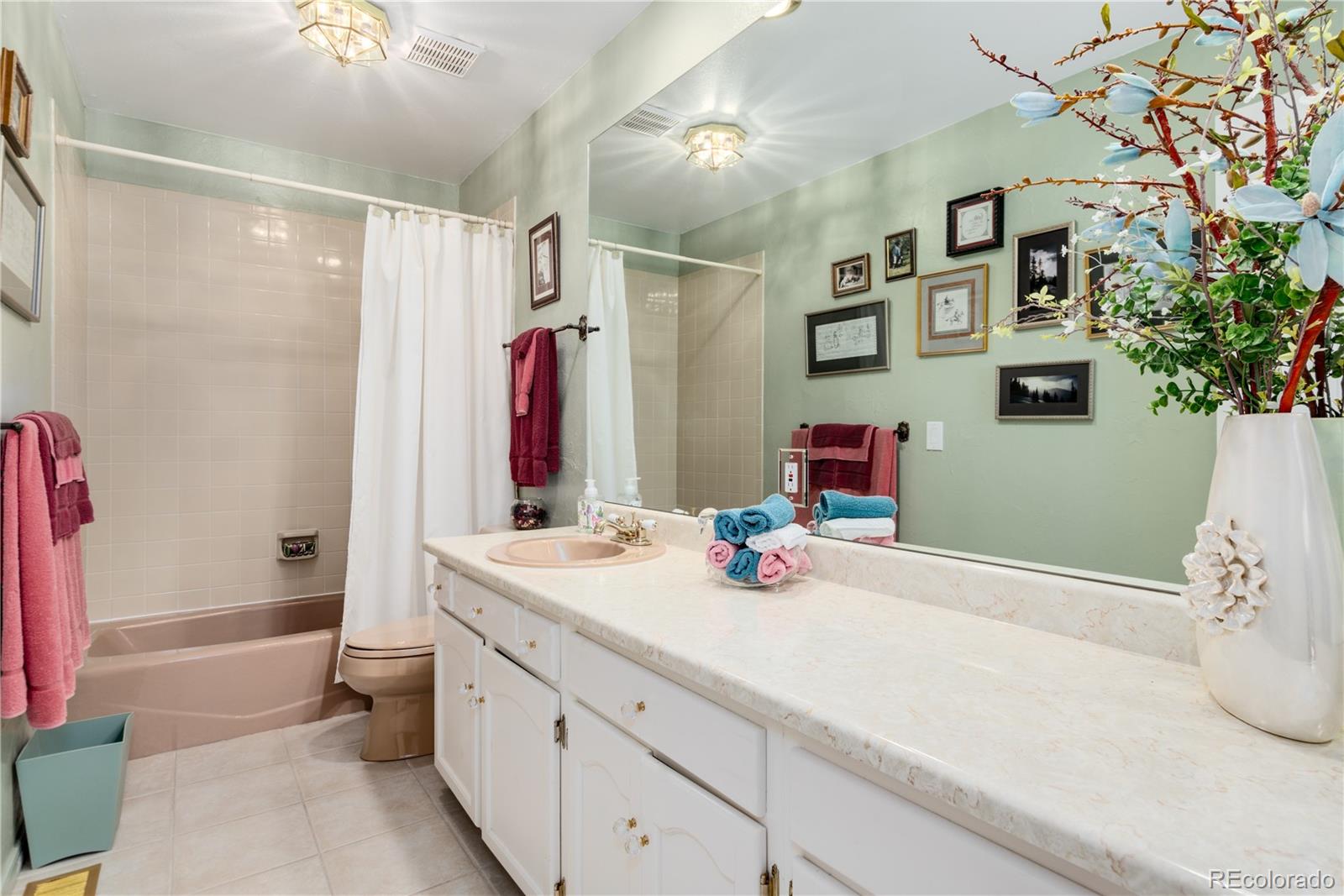 7846 North Village Road Parker, CO 80134 - Photo 28 of 50 a bathroom with a sink and a mirror