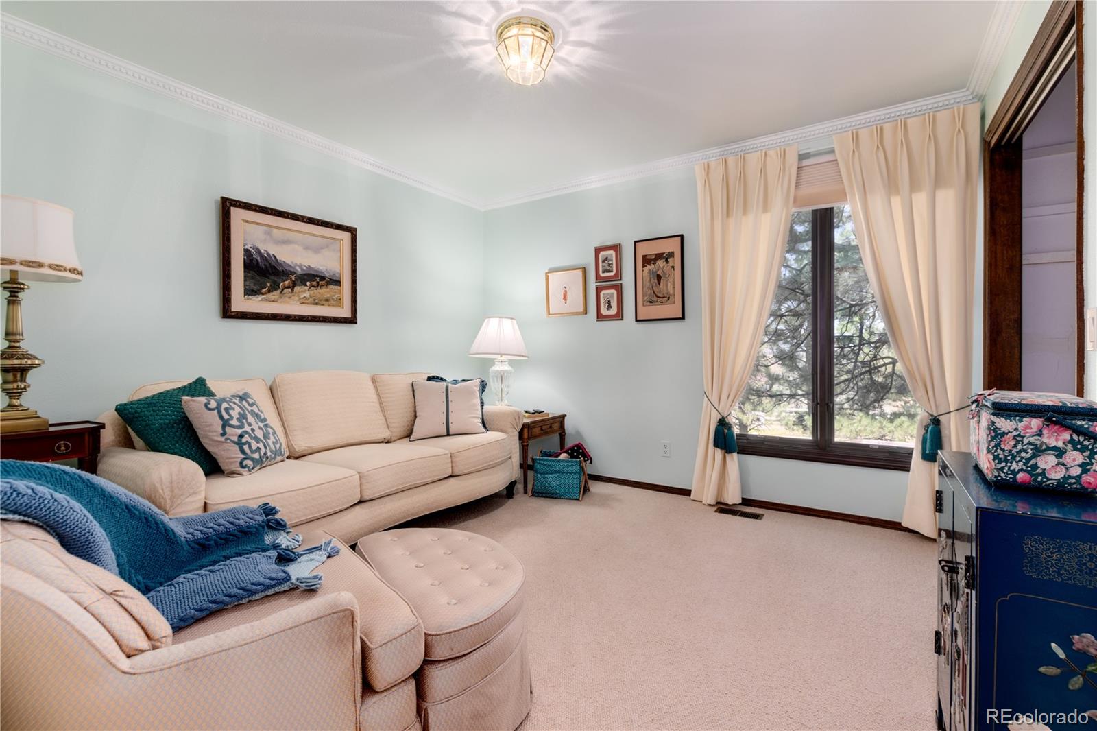 7846 North Village Road Parker, CO 80134 - Photo 29 of 50 a living room with furniture and a window