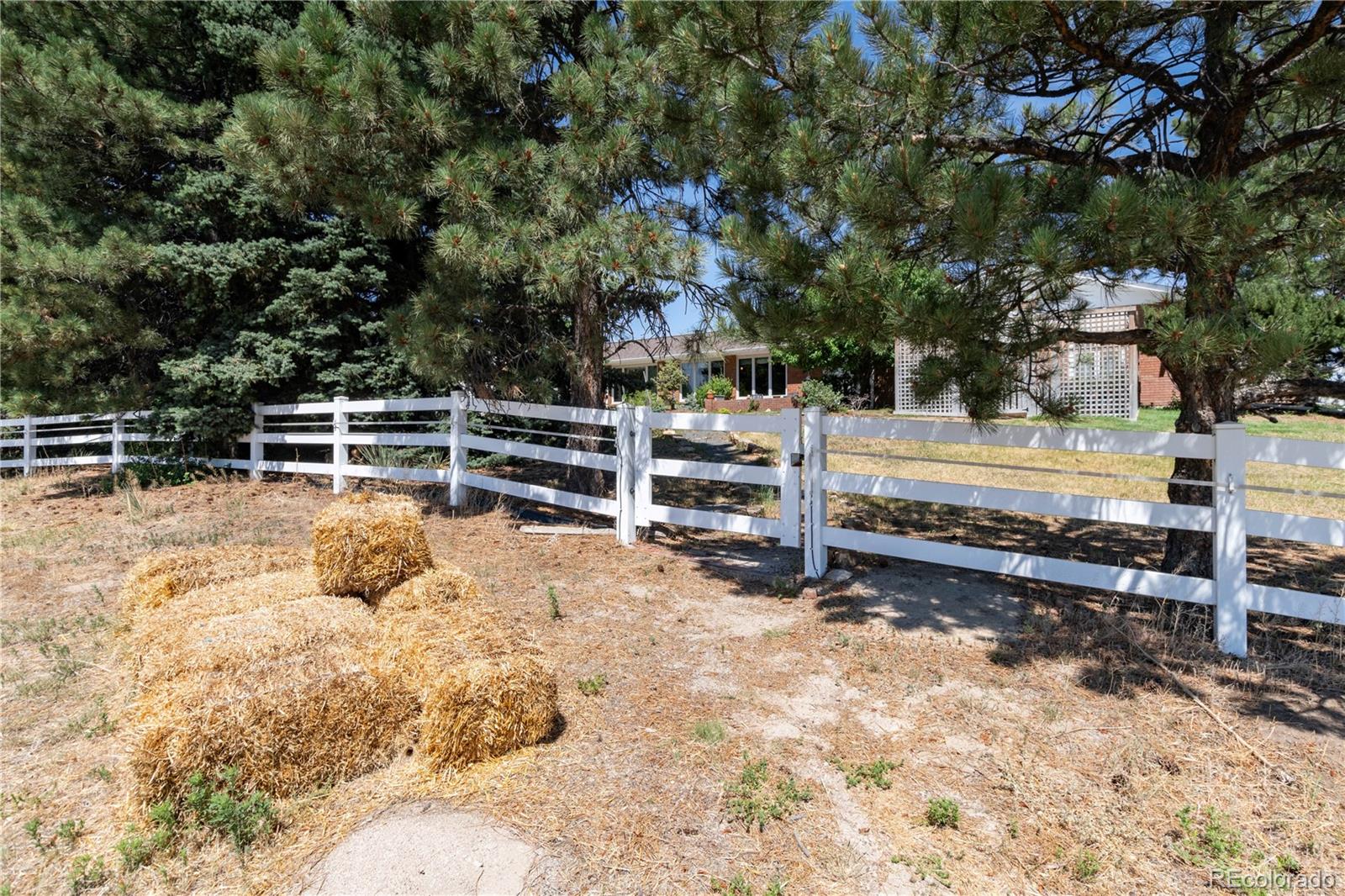 7846 North Village Road Parker, CO 80134 - Photo 41 of 50 a view of a yard with wooden fence
