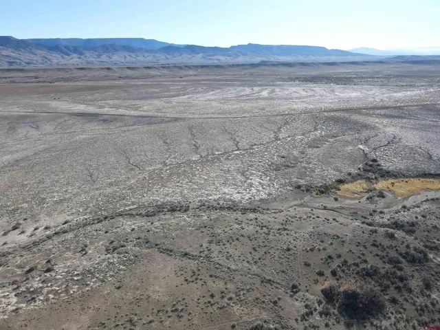 a view of a dry yard with wooden floor and fence
